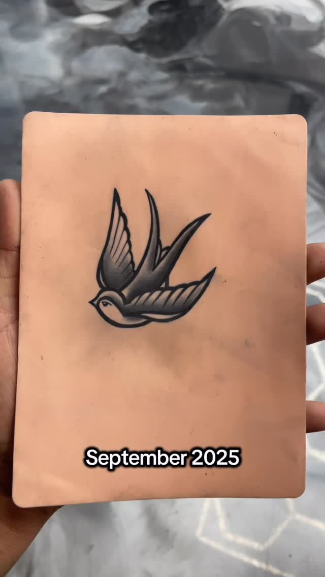David Maciel's Tattoo Apprenticeship Journey at Broadway Dept Midtown Sacramento