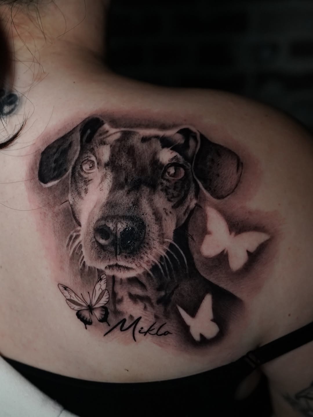 Pet Memorial Tattoo by Charleigh Rae at Broadway Dept. Midtown Sacramento
