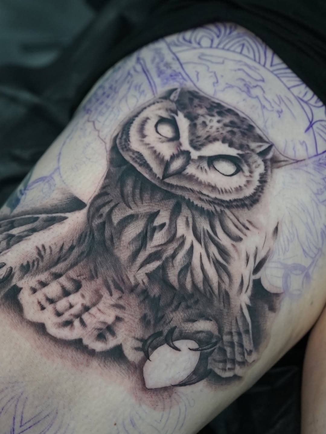 Realistic Owl Tattoo by Charleigh Rae at Broadway Dept. Midtown Sacramento