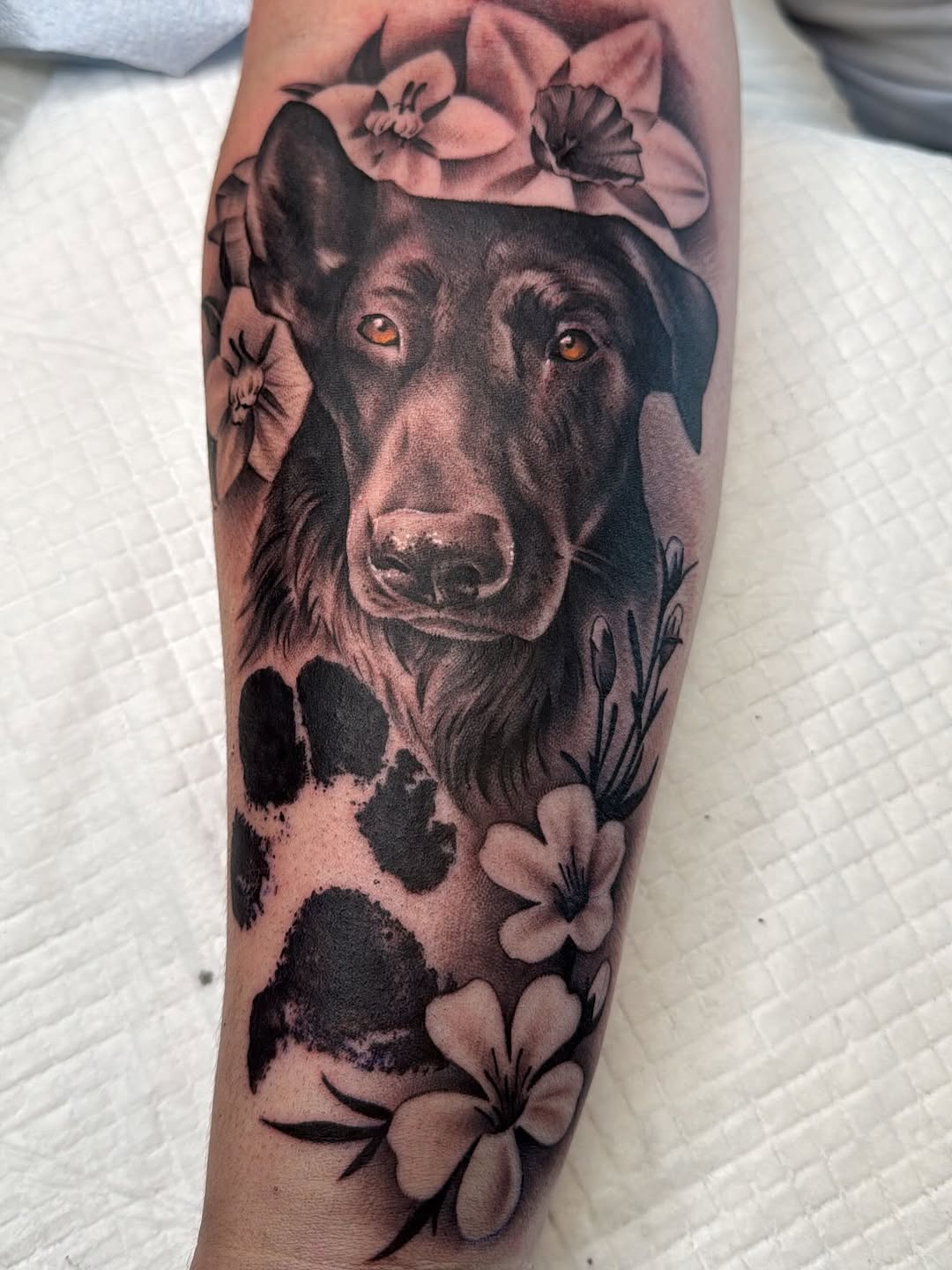 Custom pet portrait tattoo design by Crystal Mercedes at Broadway Dept. Sacramento