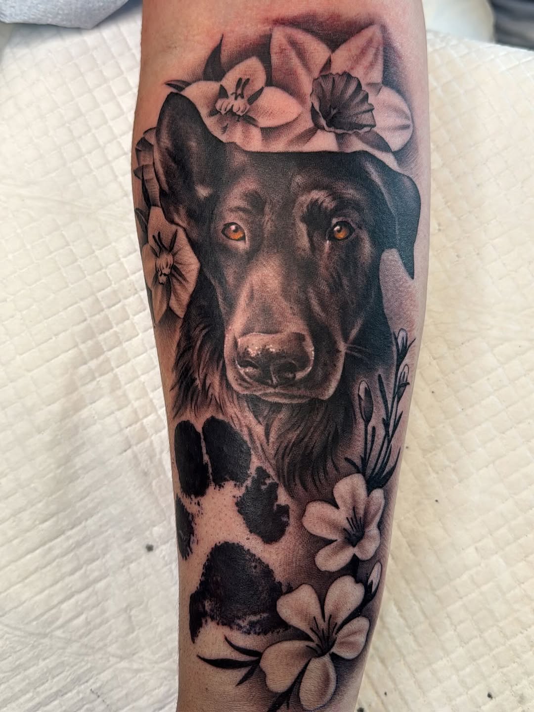 Pet Portrait Tattoo by Crystal Mercedes at Broadway Dept. Sacramento