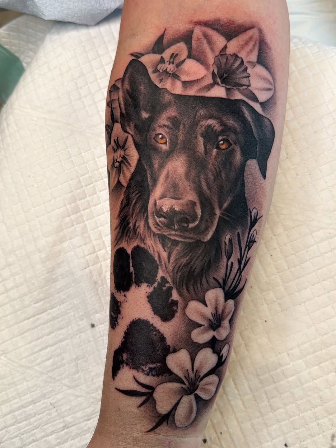 Detailed fur baby memorial tattoo by Crystal Mercedes at Broadway Dept. Sacramento