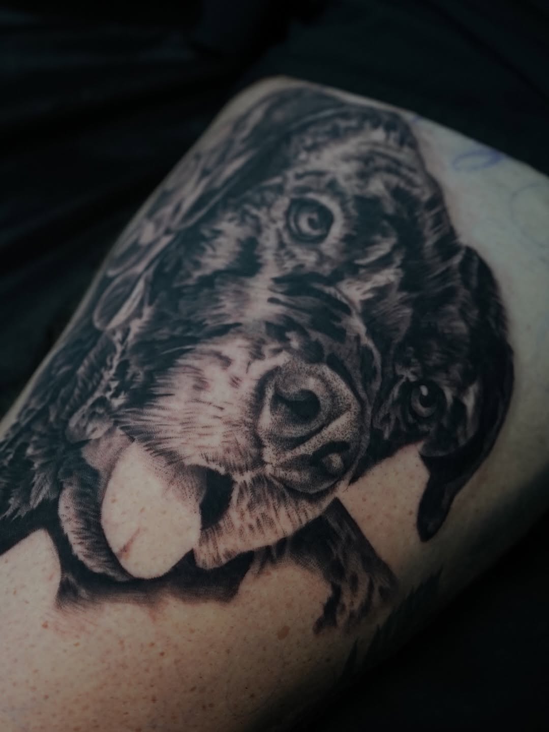 Realistic dog portrait tattoo in progress on client at Broadway Dept. Sacramento