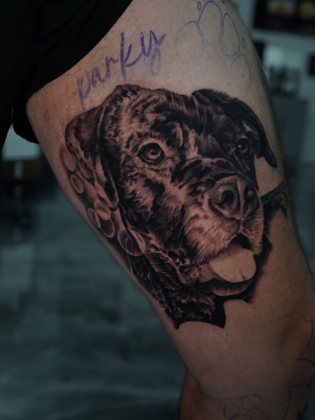 Professional tattoo work displayed at Broadway Dept. Sacramento.