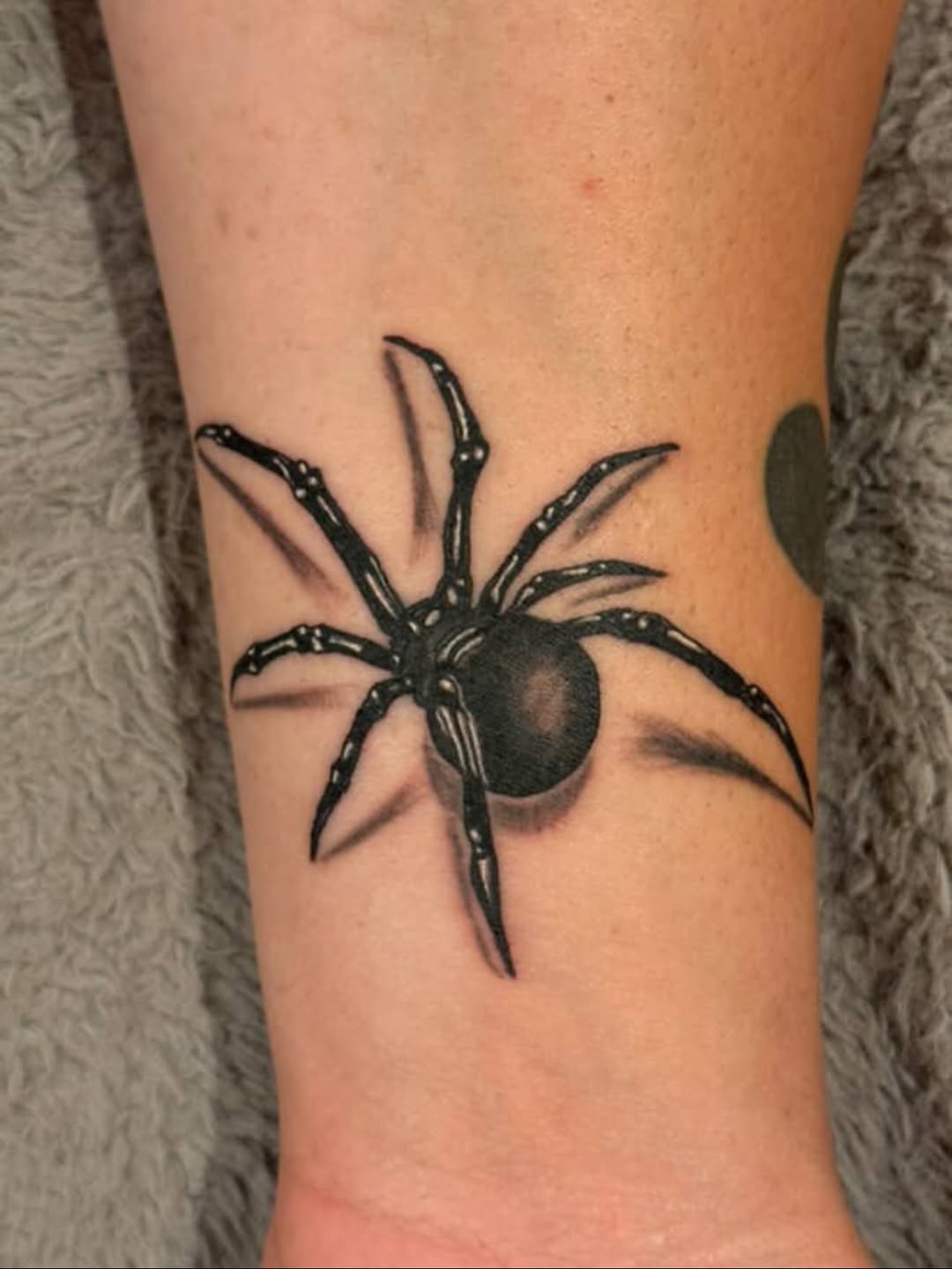 Spider tattoo by David Maciel, Broadway Dept. walk-in welcome