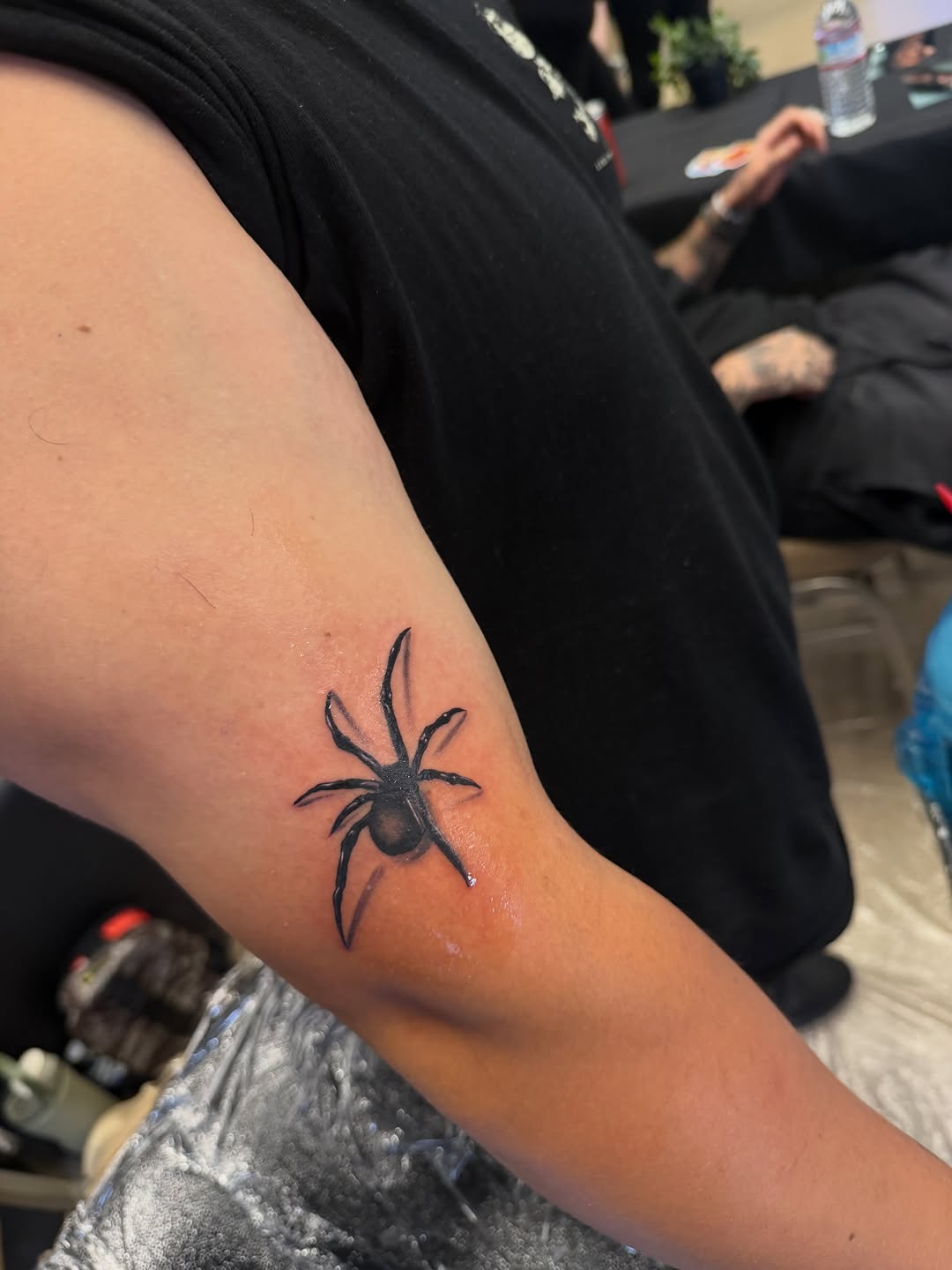 Detailed spider tattoo by cuddyink at Broadway Dept. Sacramento