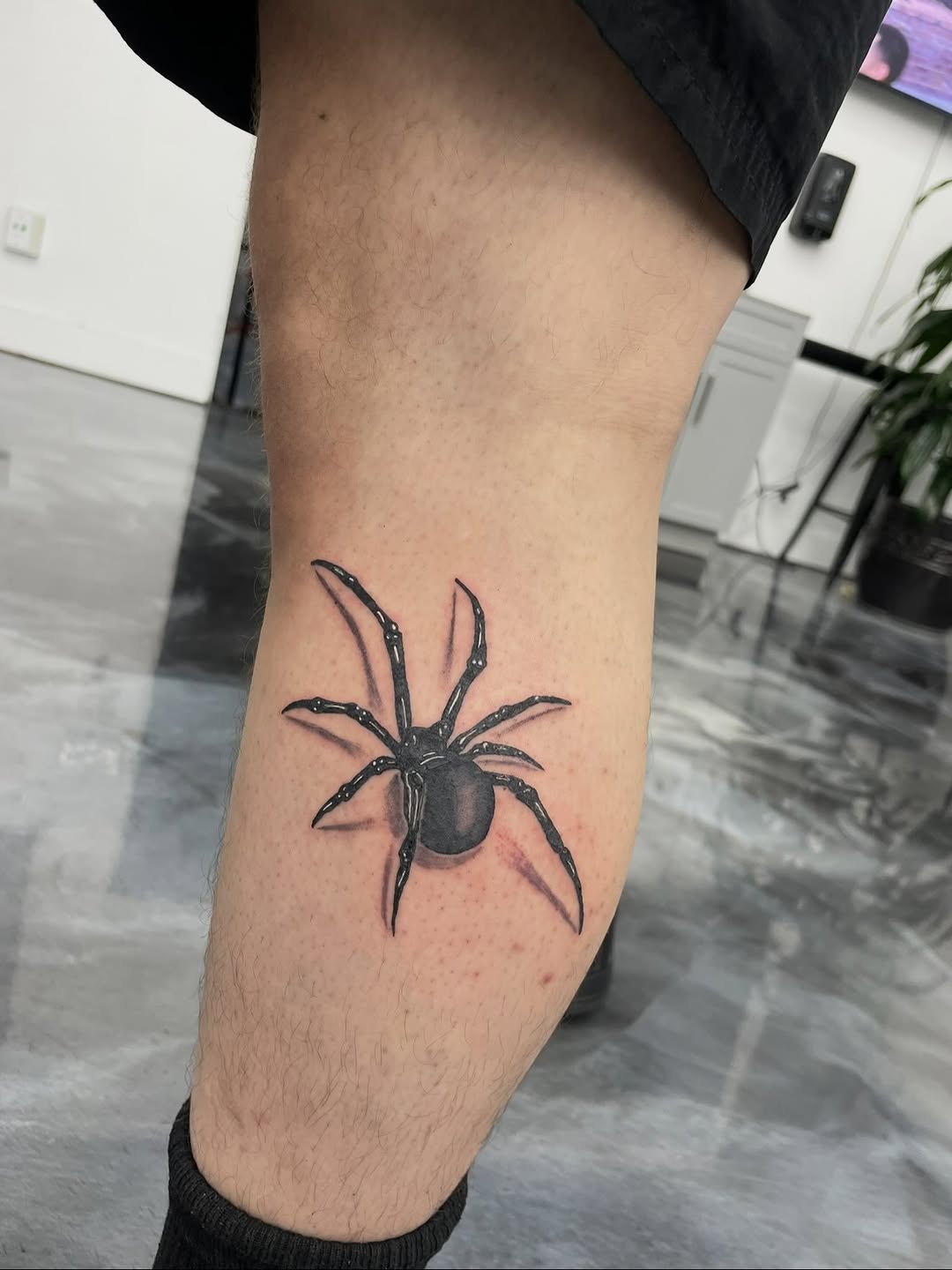 Spider tattoo work by David Maciel, walk-in friendly Sacramento shop